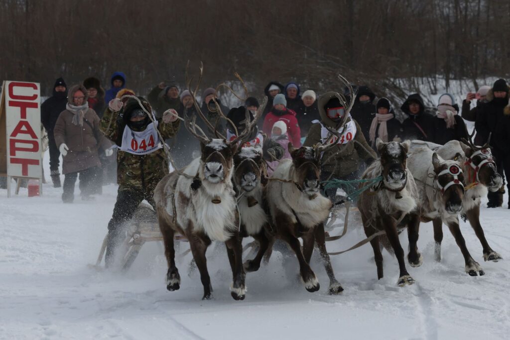 ООО «Транснефть – Восток» поддержало проведение межрегиональных соревнований юных оленеводов в Республике Саха (Якутия)