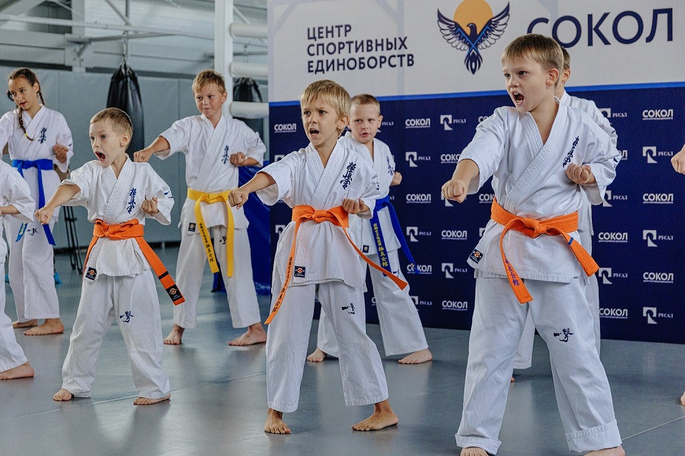 «Сокол» расправил крылья