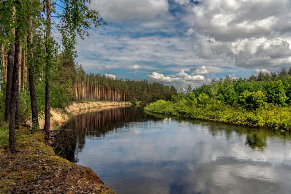 День 15 августа, суббота