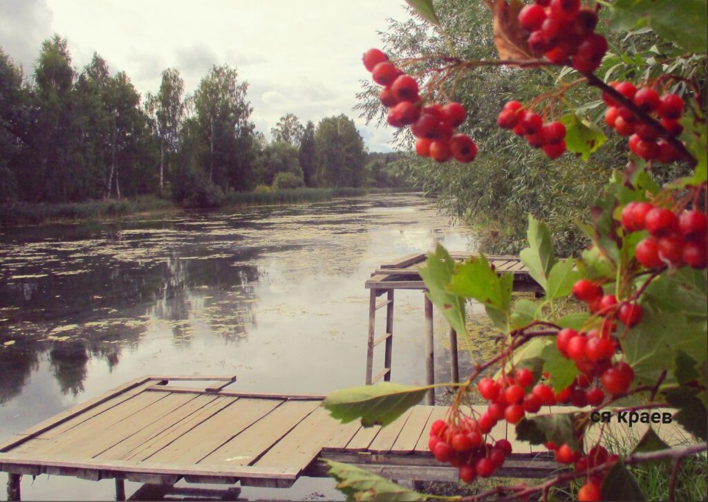 День 6 августа, четверг