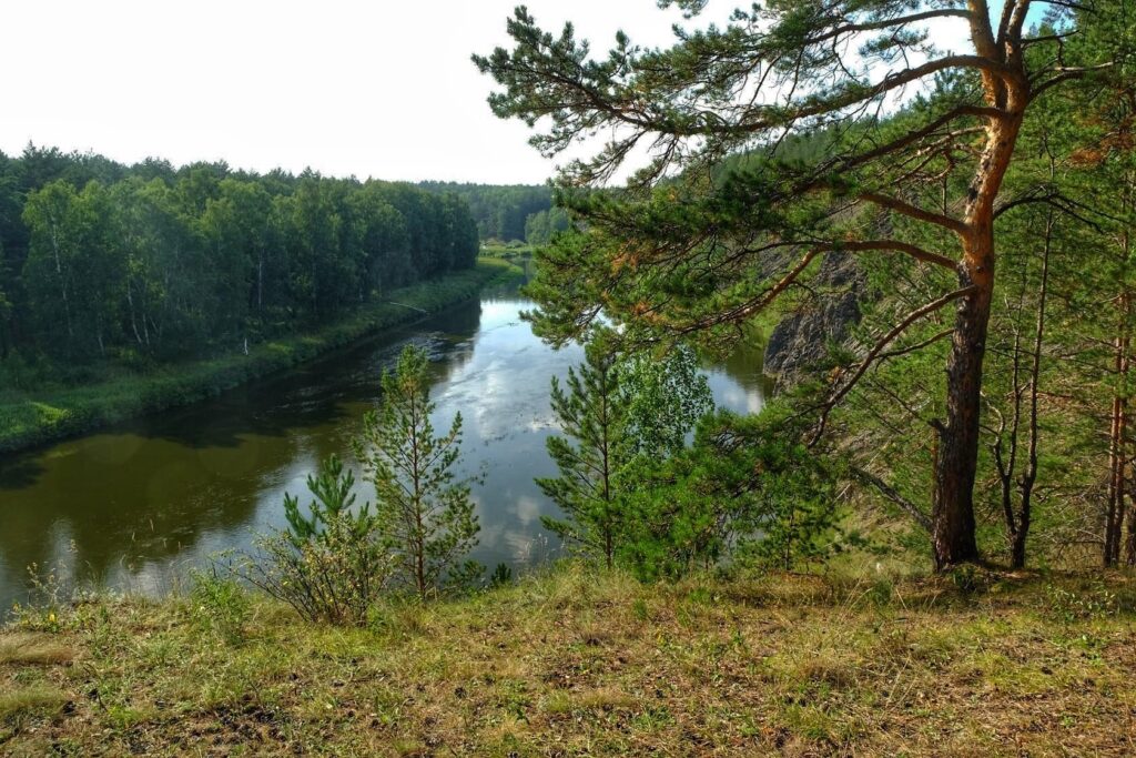 День 14 августа, пятница