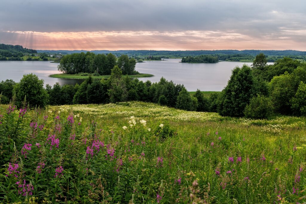 День 3 августа, понедельник