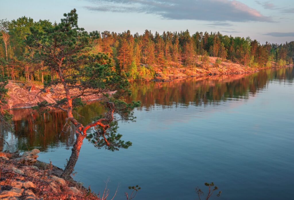День 16 августа, воскресенье