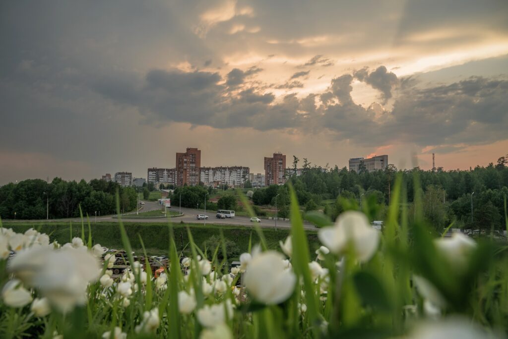 День 22 августа, суббота