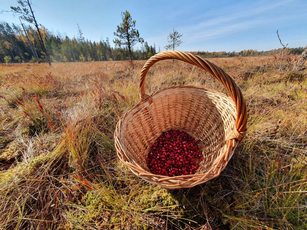 День 27 сентября, воскресенье