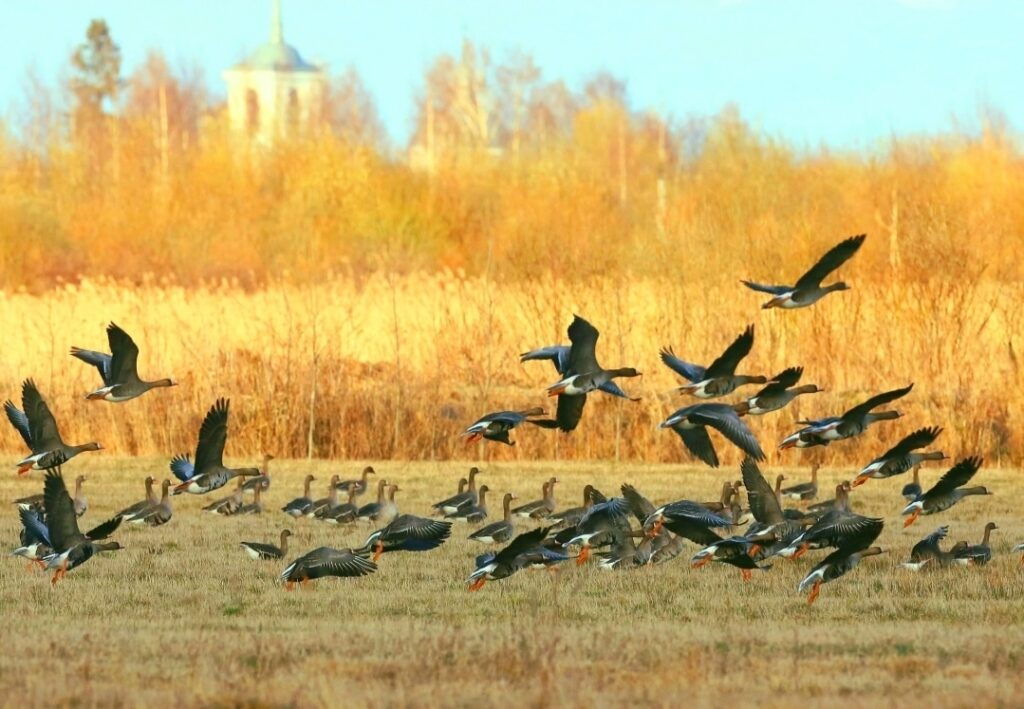 День 27 сентября, воскресенье