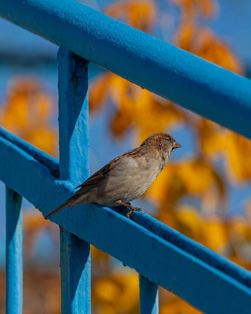 День 23 сентября, среда