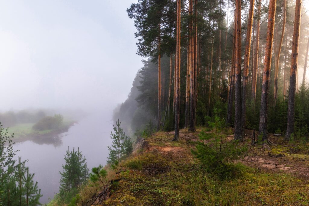 День 13 сентября, воскресенье