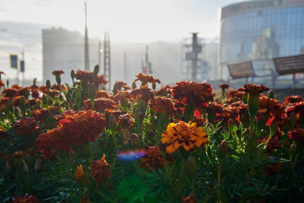 День 22 сентября, вторник