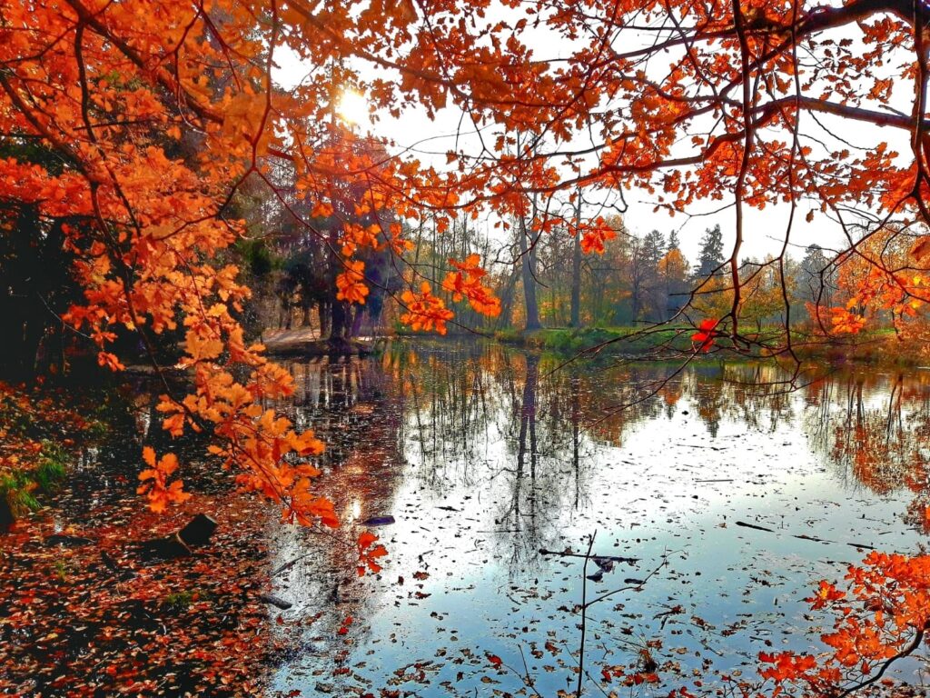 День 16 сентября, среда