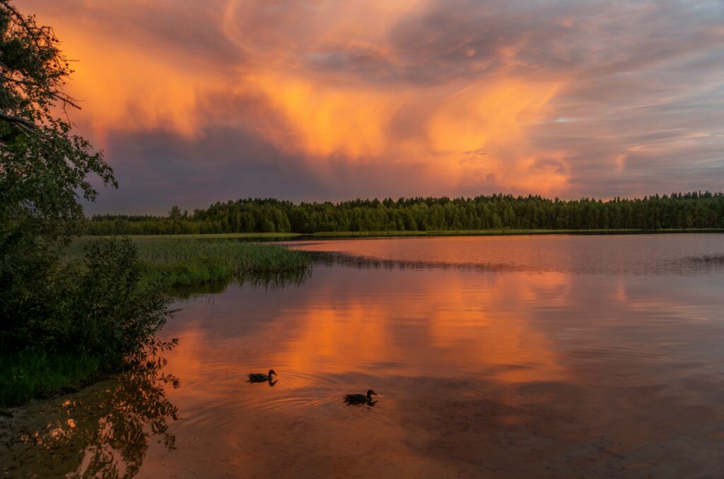 День 7 сентября, понедельник