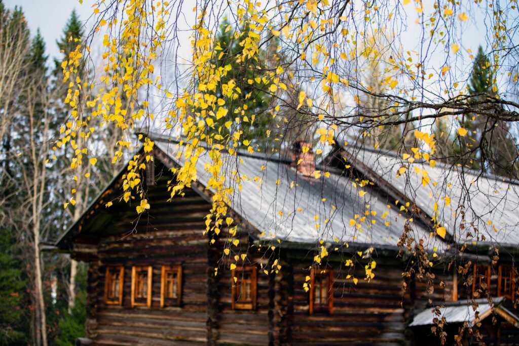День 19 октября, понедельник