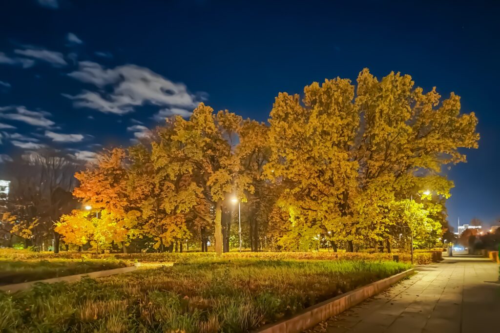 День 13 октября, вторник