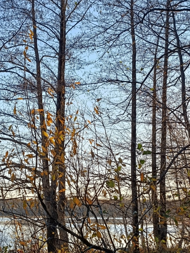День 26 октября, понедельник